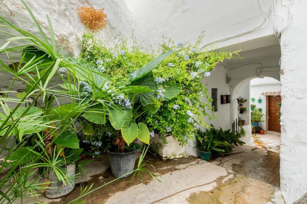 Preciosa Casa Independiente Con Increibles Vistas Vejer de la Frontera Εξωτερικό φωτογραφία